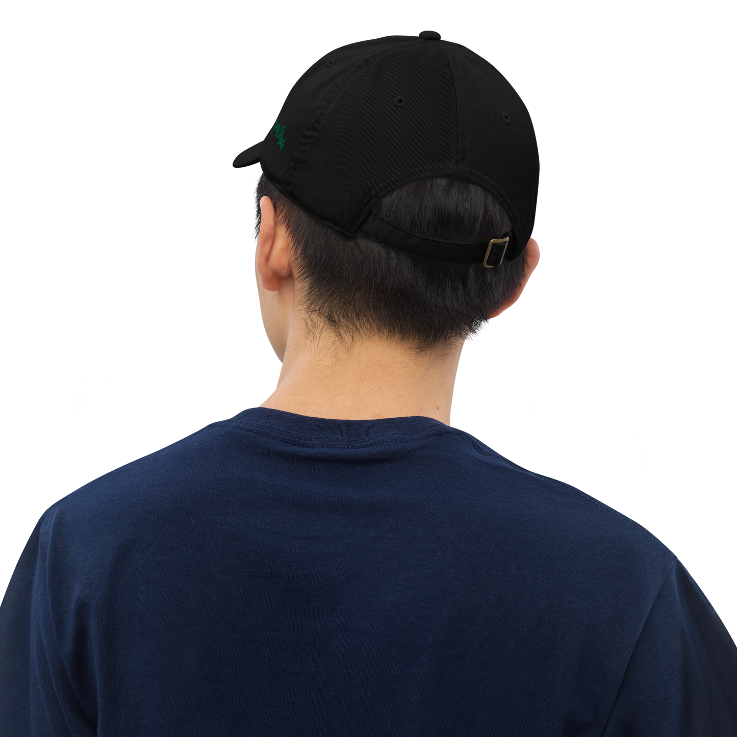 1976 Organic Dad Hat