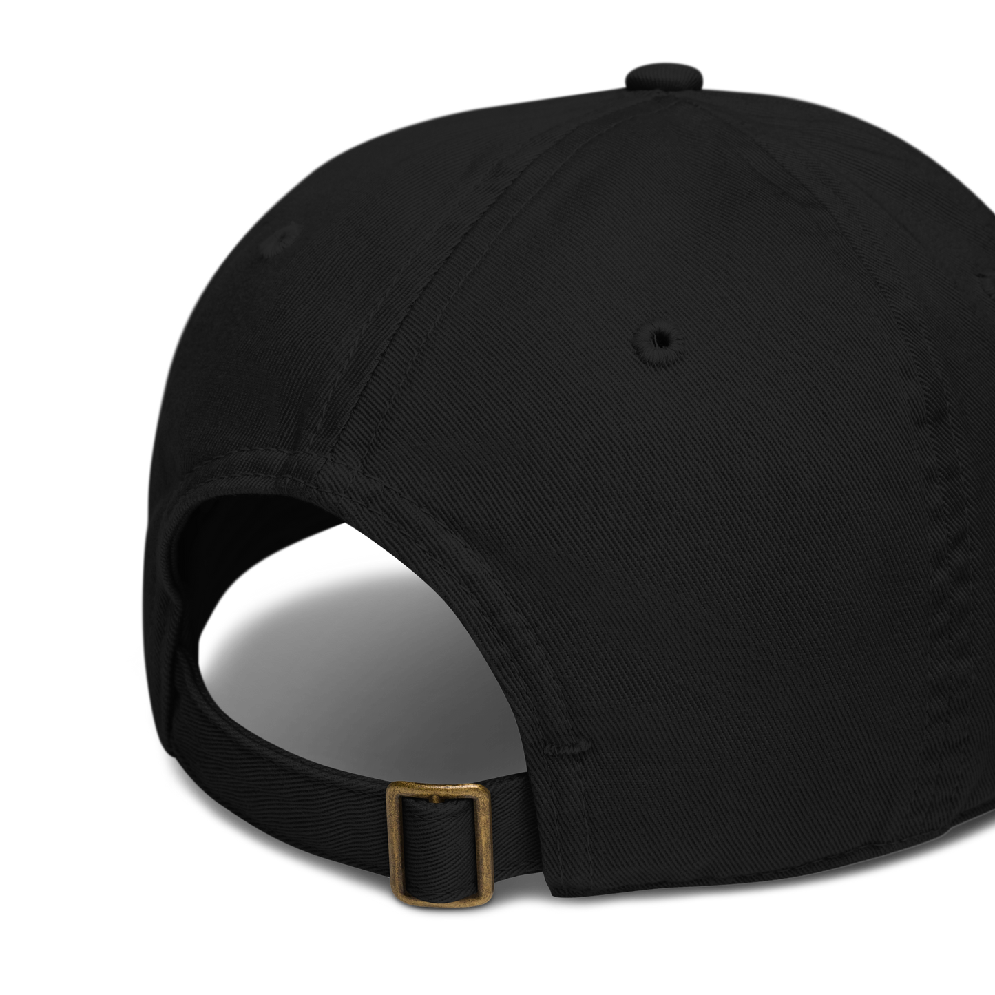 1976 Organic Dad Hat