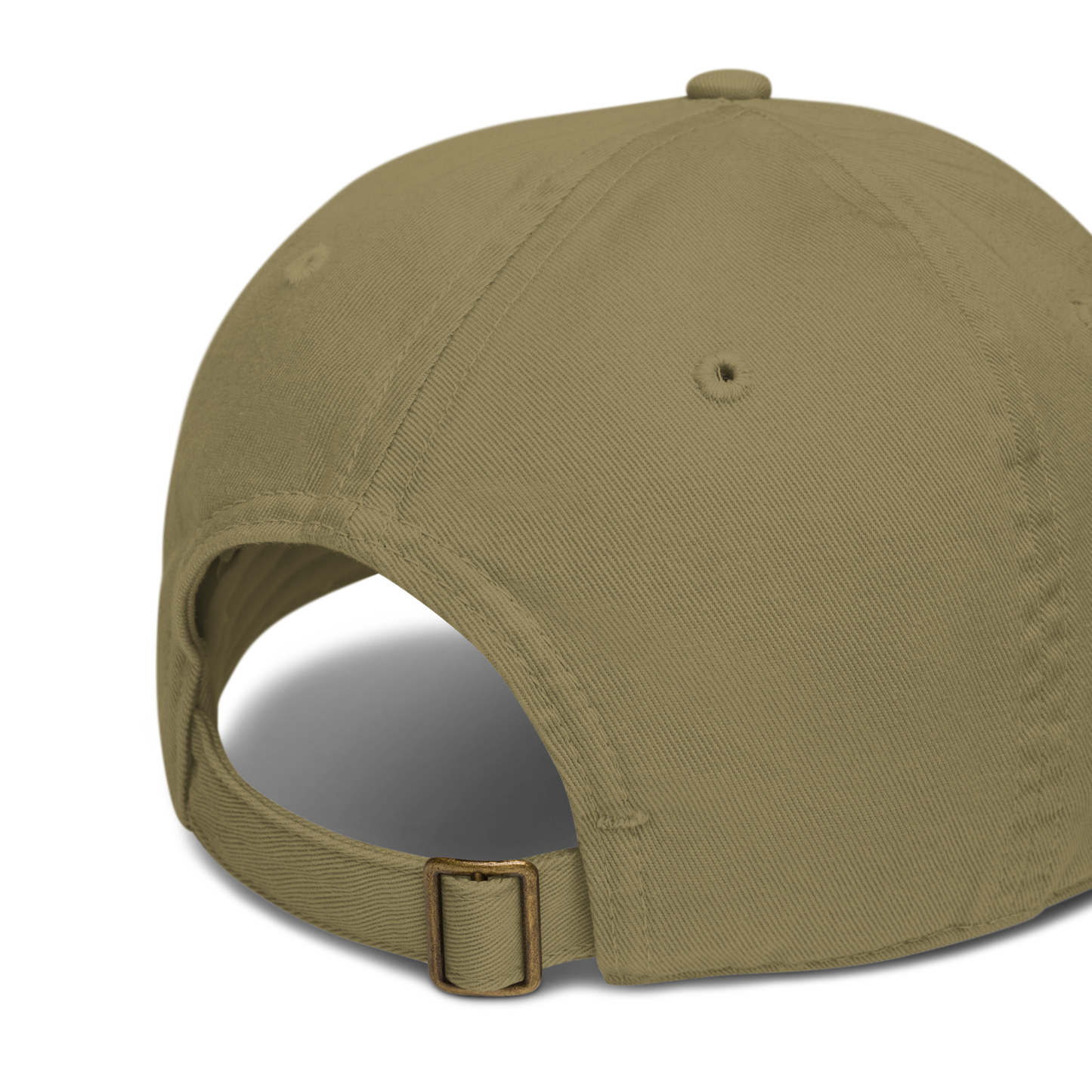 1976 Organic Dad Hat
