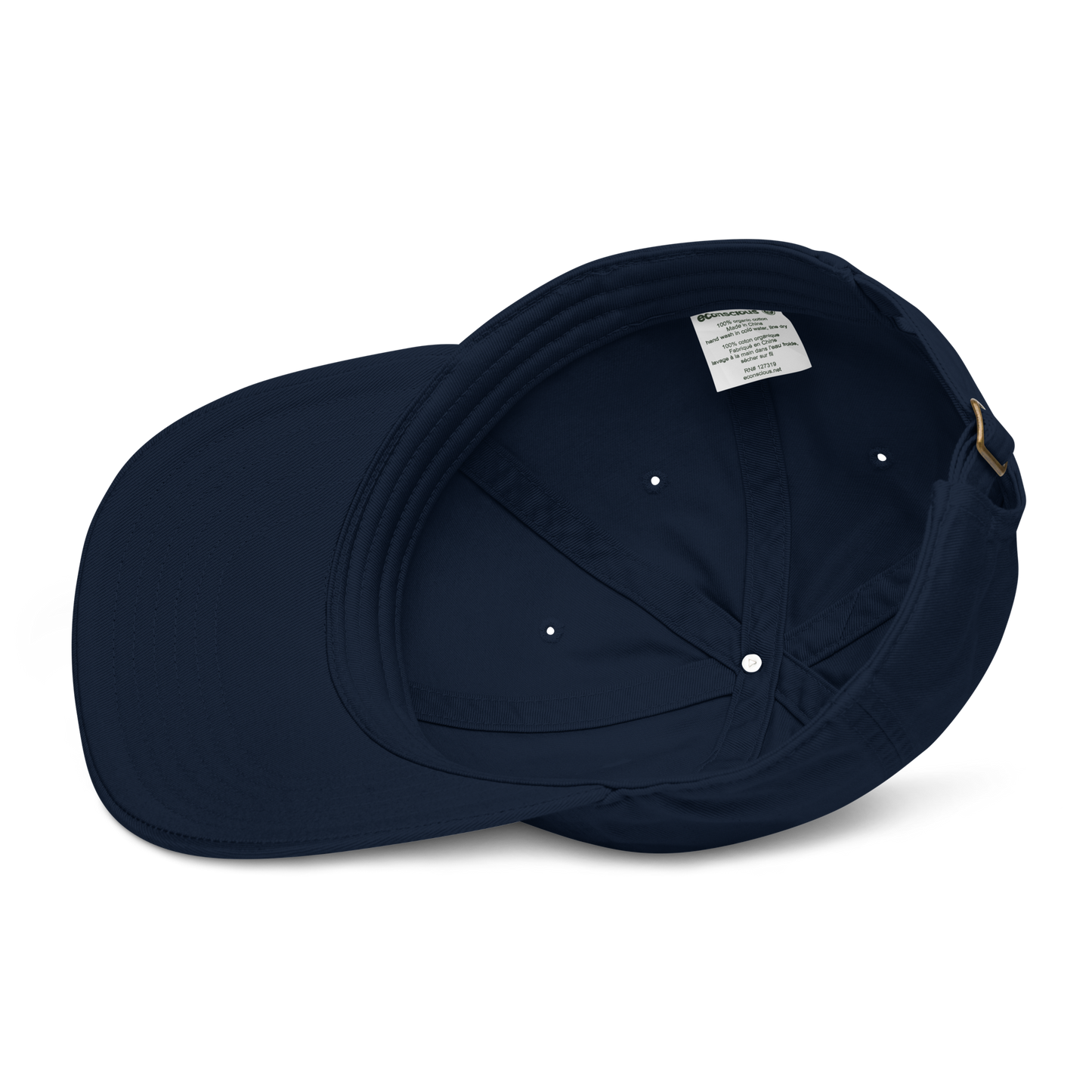 1976 Organic Dad Hat