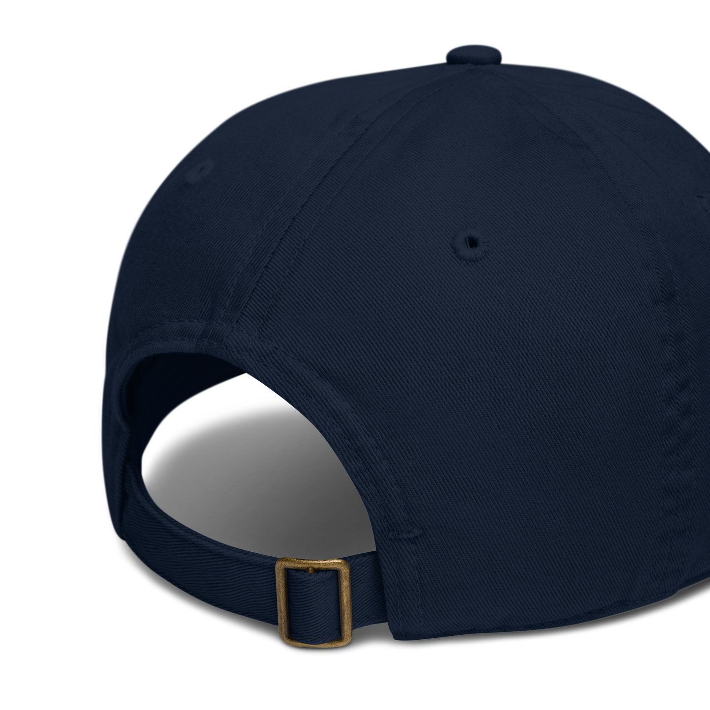1976 Organic Dad Hat