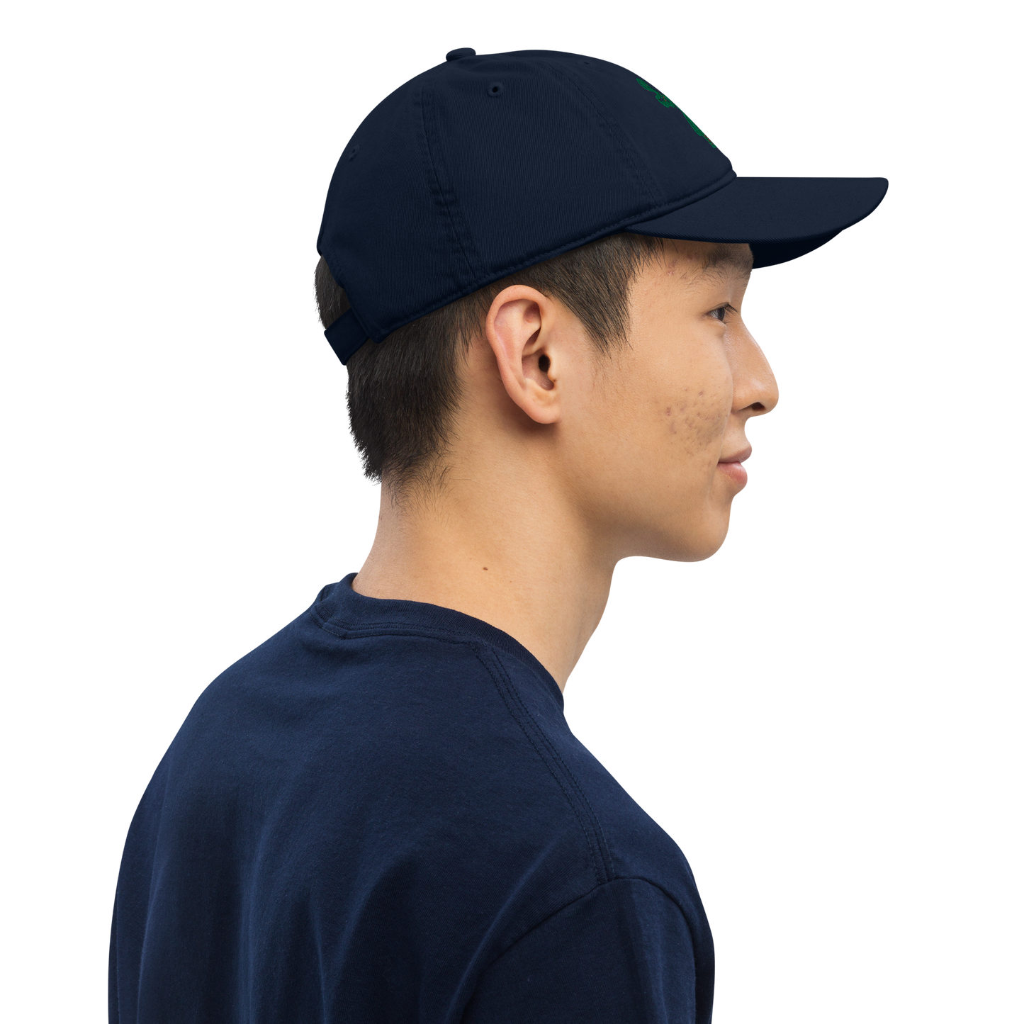 1976 Organic Dad Hat
