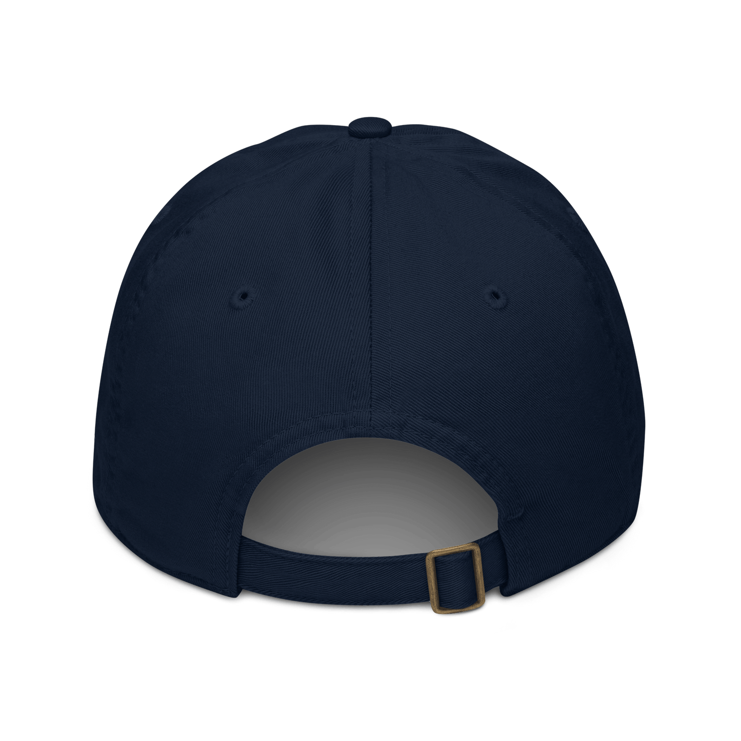 1976 Organic Dad Hat - SleekyStyleproduct_typeSleekyStylePacific1976 Organic Dad Hat